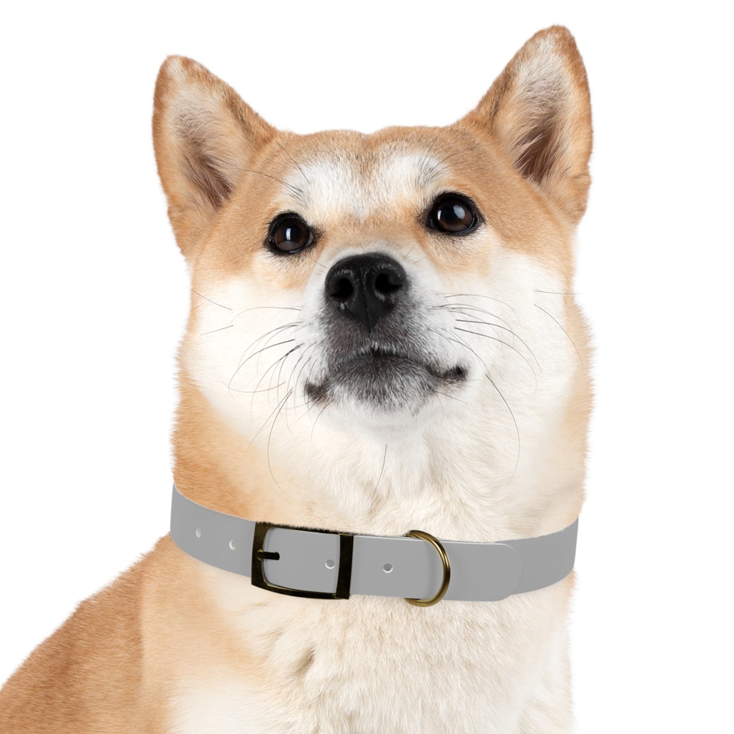 Astra Fauna Dog Collar