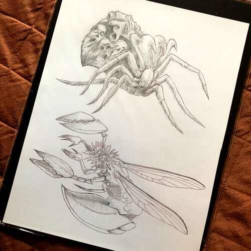Two creatures. One is similar to a spider, with a large abdomen. The other is similar to a wasp, with pincers on two of its limbs.