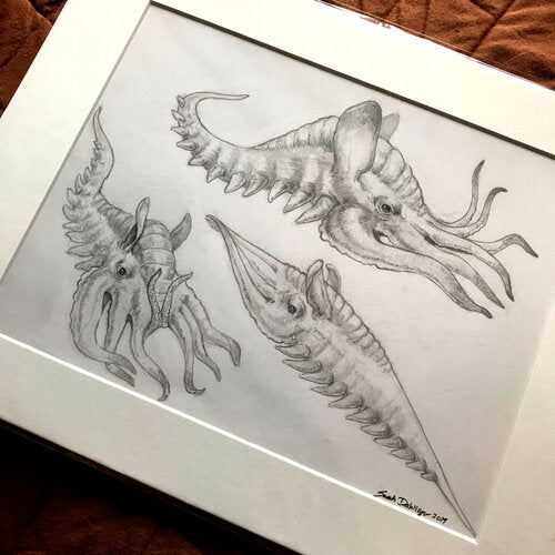 Three drawings of an underwater creature. This creature has many tentacles around its head, and its body slopes to a point with spines dangling of its underside.