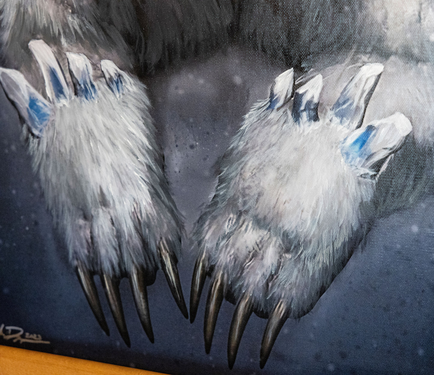 A close up of the bear's paws.