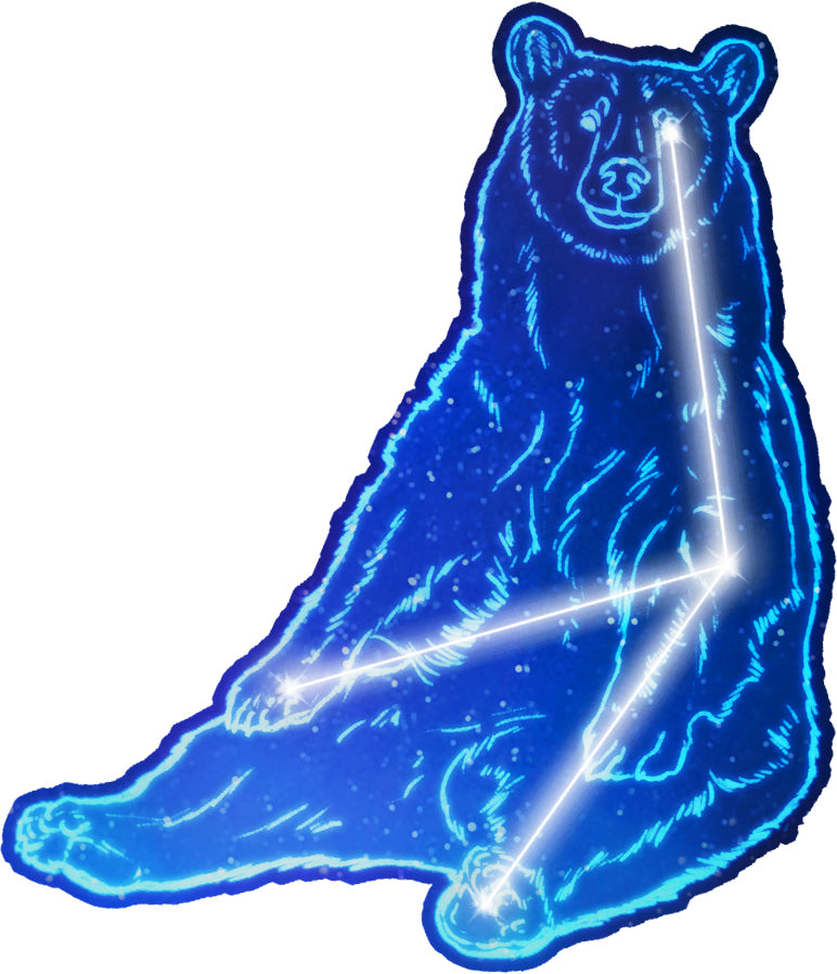 Stellar Bear Sitting - Kiss-cut vinyl decal